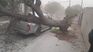 A strong storm caused destruction in the streets of San Luis. A strong storm caused destruction in the streets of San Luis.