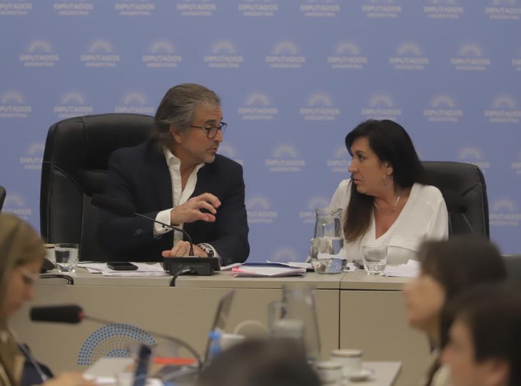 Benegas Lynch y Rodríguez Machado, presidentes en el plenario que dictaminó Inocencia Fiscal. Benegas Lynch y Rodríguez Machado, presidentes en el plenario que dictaminó Inocencia Fiscal.