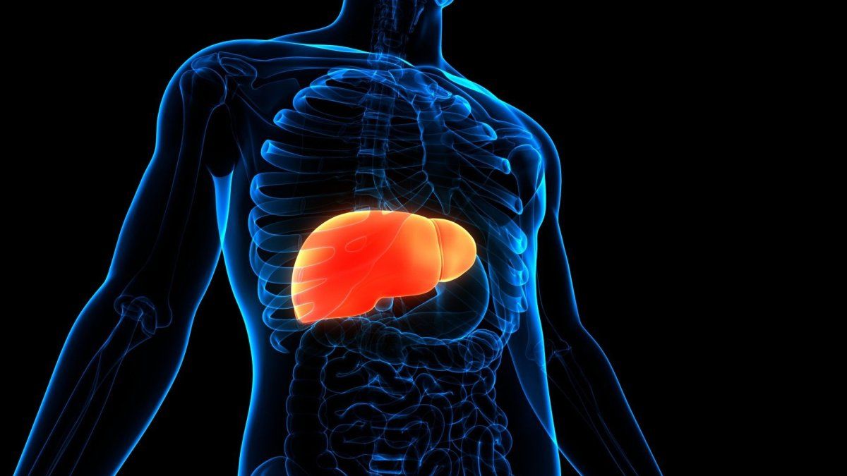 6 foods we consume every day but are poison for those who have a fatty liver