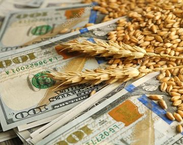 El elevado costo de los insumos golpea al trigo: prevén caída en el área sembrada para la campaña 2022/2023