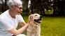 Pets make owners as happy as money. Pets make owners as happy as money.