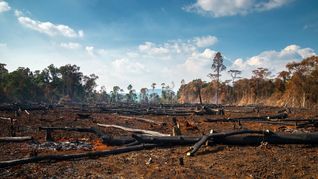El documento concluye que está en riesgo la sustentabilidad de los recursos naturales y el bienestar.