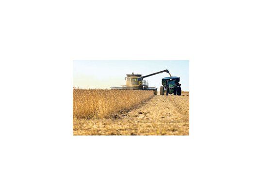 Los productores cosecharon el 97% de los 17,1 millones de hectáreas sembradas con soja.