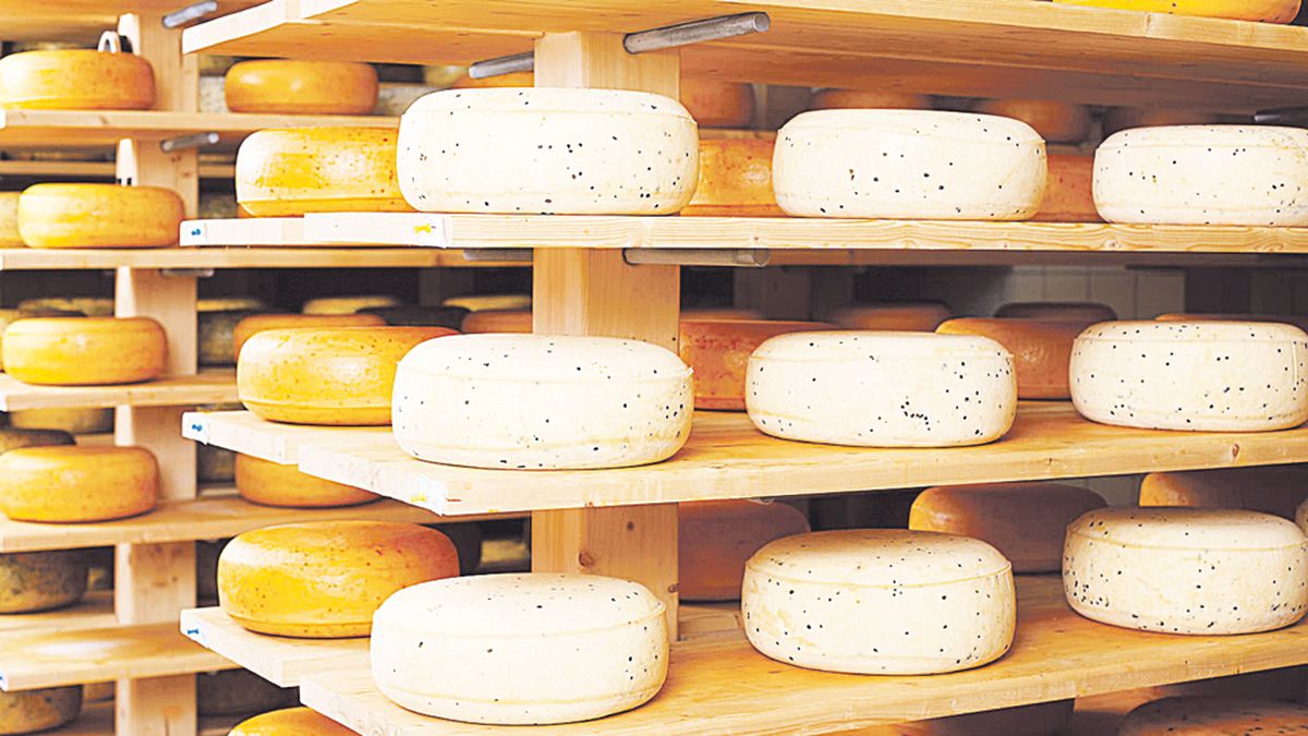 The Cheese Route, a delicious getaway less than two hours from Buenos Aires
