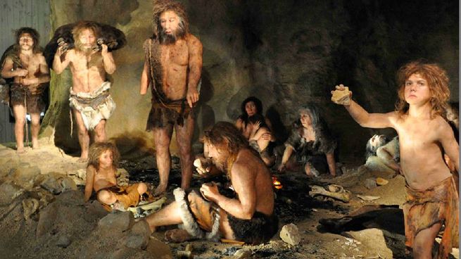 Lograron reconstruir el rostro de una mujer neandertal.