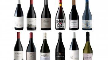 ámbito.com | portada pinot.jpg