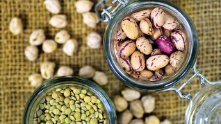 Las legumbres tienen múltiples beneficios para la salud de los consumidores.&nbsp;