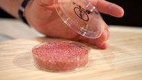 Sebastián Da Silva busca evitar que se etiquete como producto cárnico a las carnes de laboratorio.
