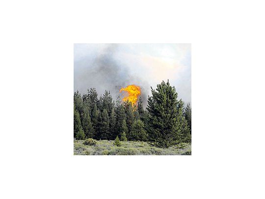 Las llamas que devoran los bosques nativos pueden verse desde varios kilómetros.Los brigadistas esperan ayuda nacional para combatirlas.