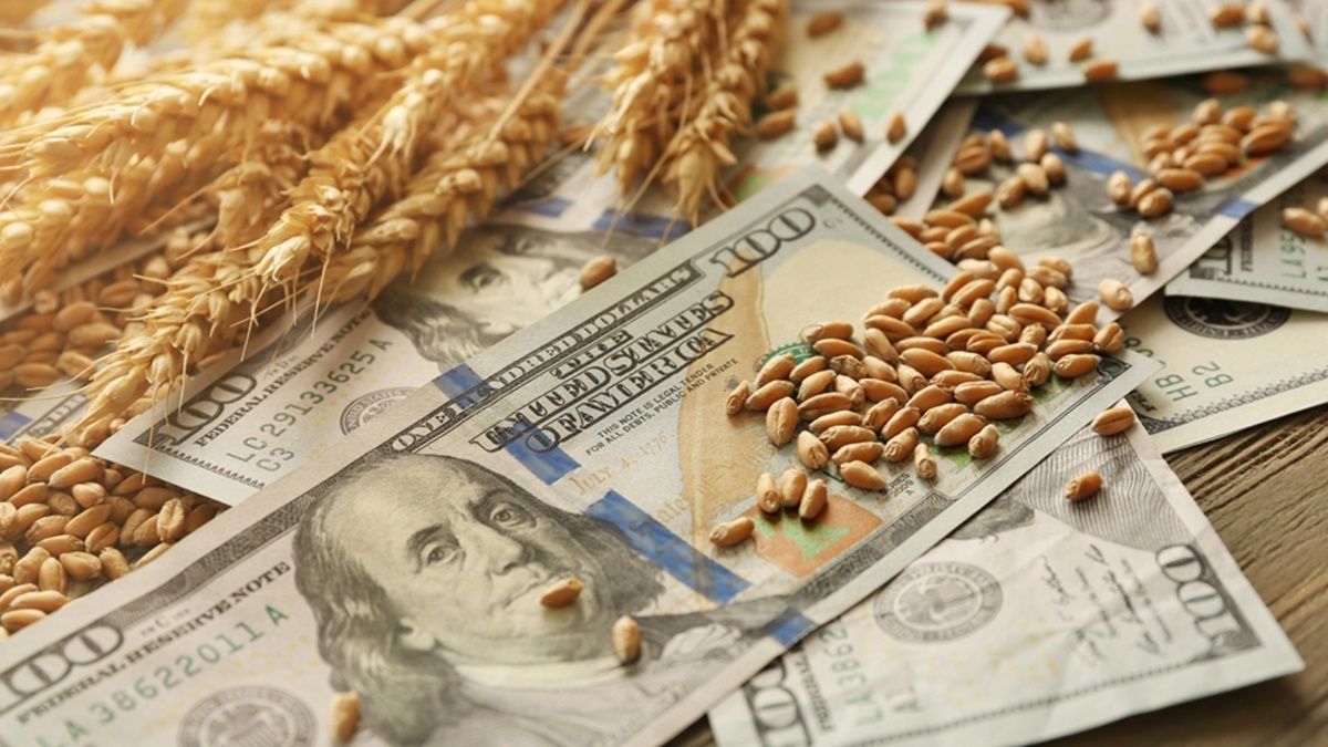 Agricultural dollar: set guidelines to ensure that the benefit reaches the operations carried out