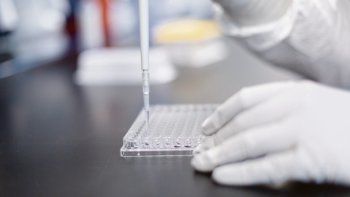 VELOCIDAD. Las vacunas que desarrollan varios laboratorios en todo el mundo están concluyendo sus investigaciones clínicas. Las autorizaciones que reciban serán provisorias y las pesquisas continuarán en los próximos años para determinar posibles efectos secundarios.