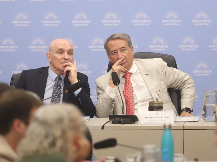 Espert y Mayoraz, presidentes de comisiones claves de Diputados.