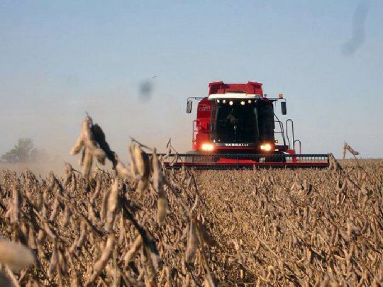 La tormenta de Santa Rosa podría traer beneficios sorpresivos para la plantación de trigo y maíz.