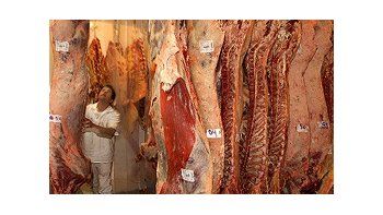 Son 28.000 toneladas de cortes enfriados vacunos sin hueso de alta calidad que se envían a Unión Europea