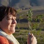 Liliana Juárez protagoniza Muña Muña, de Paula Morel Kristof, que se presenta en el Gaumont. Liliana Juárez protagoniza Muña Muña, de Paula Morel Kristof, que se presenta en el Gaumont.