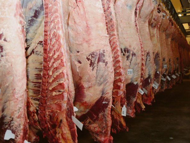 Vence suspensión de exportaciones de carne y el martes se presenta el Plan Ganadero