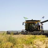 La nueva salida al Brasil entusiasma al arroz, pero persisten dudas por el clima. La nueva salida al Brasil entusiasma al arroz, pero persisten dudas por el clima.