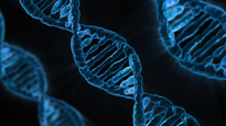 Científicos del CONICET identificaron un nuevo linaje genético en el centro de Argentina.