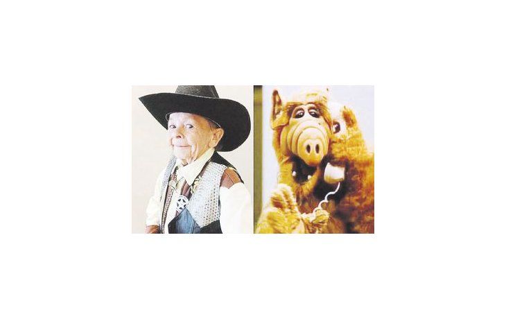 Alf