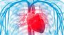 It is estimated that one in 100 adults suffers from it and the figure jumps to more than 10 % after 70 years It is estimated that one in 100 adults suffers from it and the figure jumps to more than 10 % after 70 years