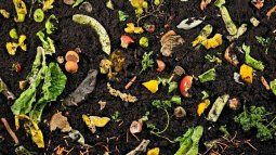 Make the compost for your garden yourself. Make the compost for your garden yourself.