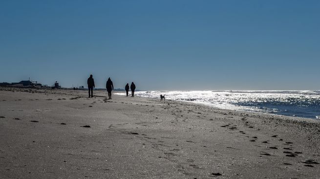 Detectan más casos de Gripe Aviar y piden que las personas y mascotas no se acerquen a las playas.&nbsp;