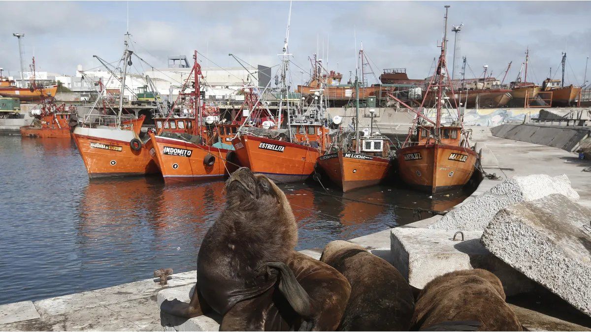 Mar del Plata endurece sanciones por derrames de camiones pesqueros dentro del puerto