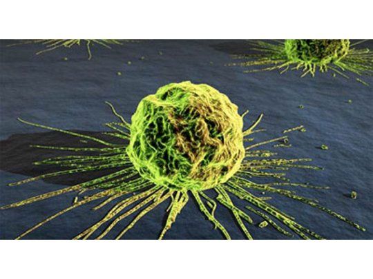 Crean nanopartícula que activa células contra el cáncer