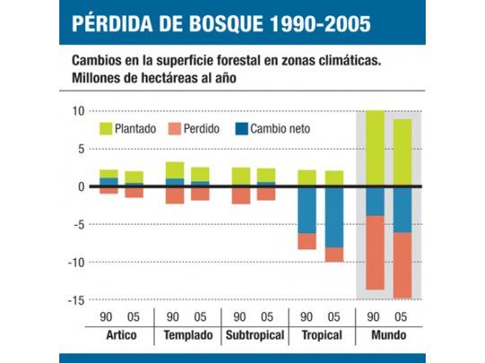 Se perdieron 10 hectáreas en los bosques por minuto
