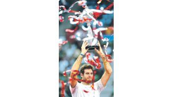 Del Potro venció a Raonic en la definición del ATP 500 japonés y se consolida entre los cinco primeros.