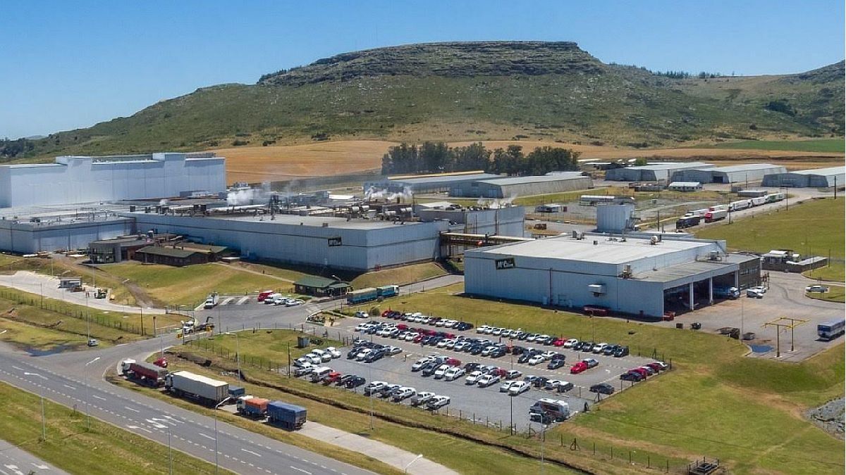 Fabricante de productos congelados prevé 100% de energías renovables en todas sus plantas