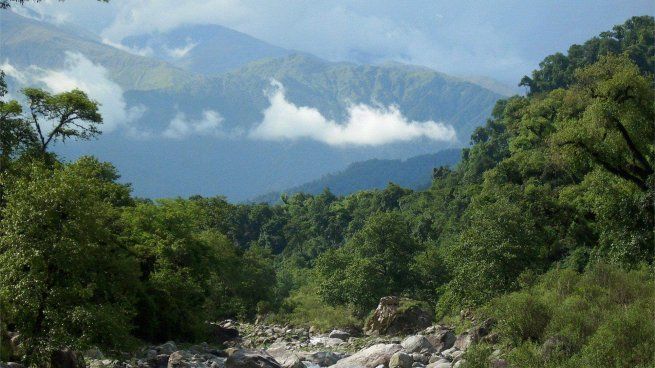 Tucumán cuenta con senderos que revelan una biodiversidad única.