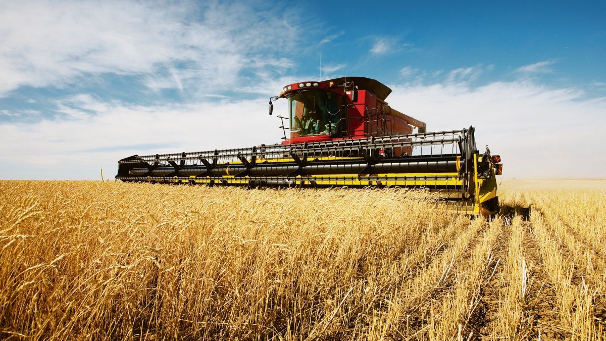 The challenge of modernizing agriculture