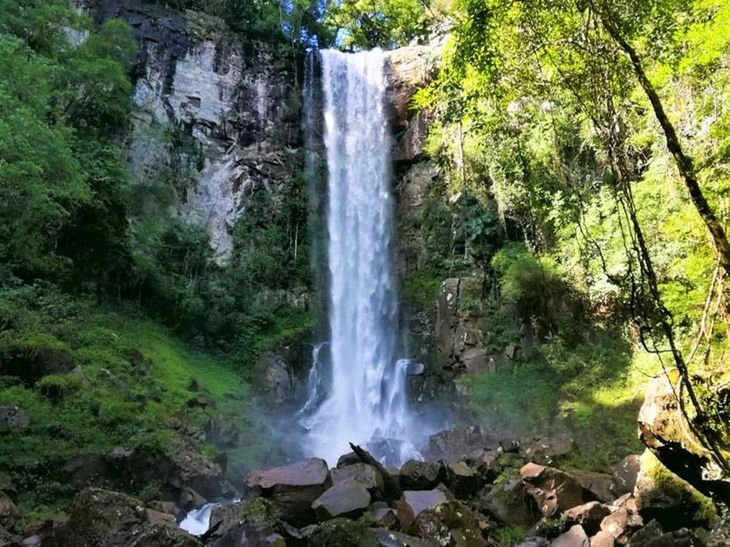 El turismo en Misiones sorprende con destinos como este parque, donde podés caminar entre selva, avistar aves y descubrir saltos escondidos. El turismo en Misiones sorprende con destinos como este parque, donde podés caminar entre selva, avistar aves y descubrir saltos escondidos.