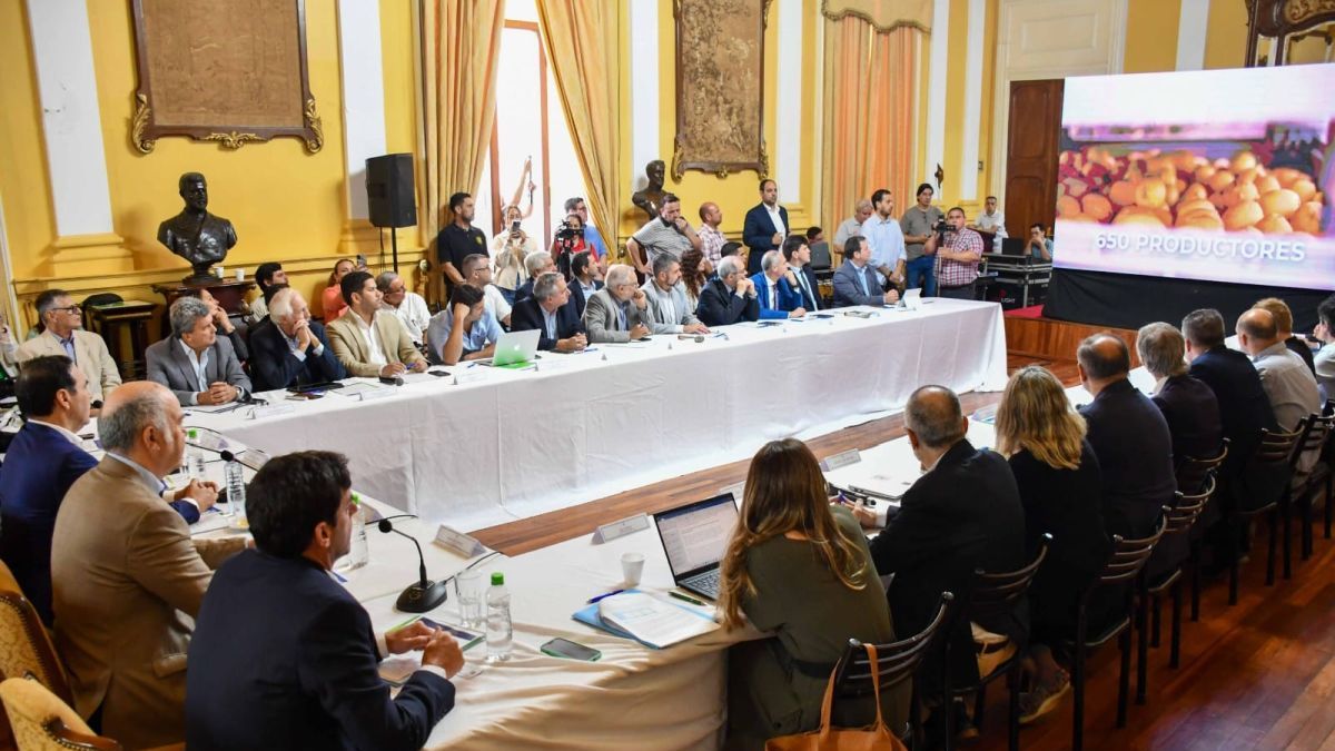 The Federal Agricultural Council of the Litoral Region debuted with a summit in Corrientes