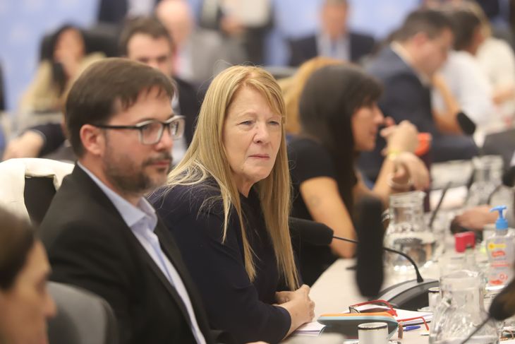 Margarita Stolbizer, otra de las autoras de proyectos. Margarita Stolbizer, otra de las autoras de proyectos.