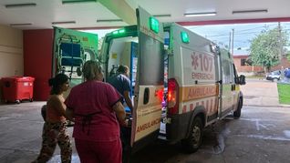 El ataque ocurrió en el patio de una vivienda en Posadas, Misiones. El ataque ocurrió en el patio de una vivienda en Posadas, Misiones.