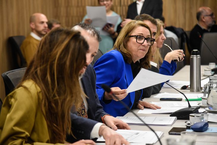 Mónica Fein, head of the Small and Medium-sized Enterprises Committee. Mónica Fein, head of the Small and Medium-sized Enterprises Committee.