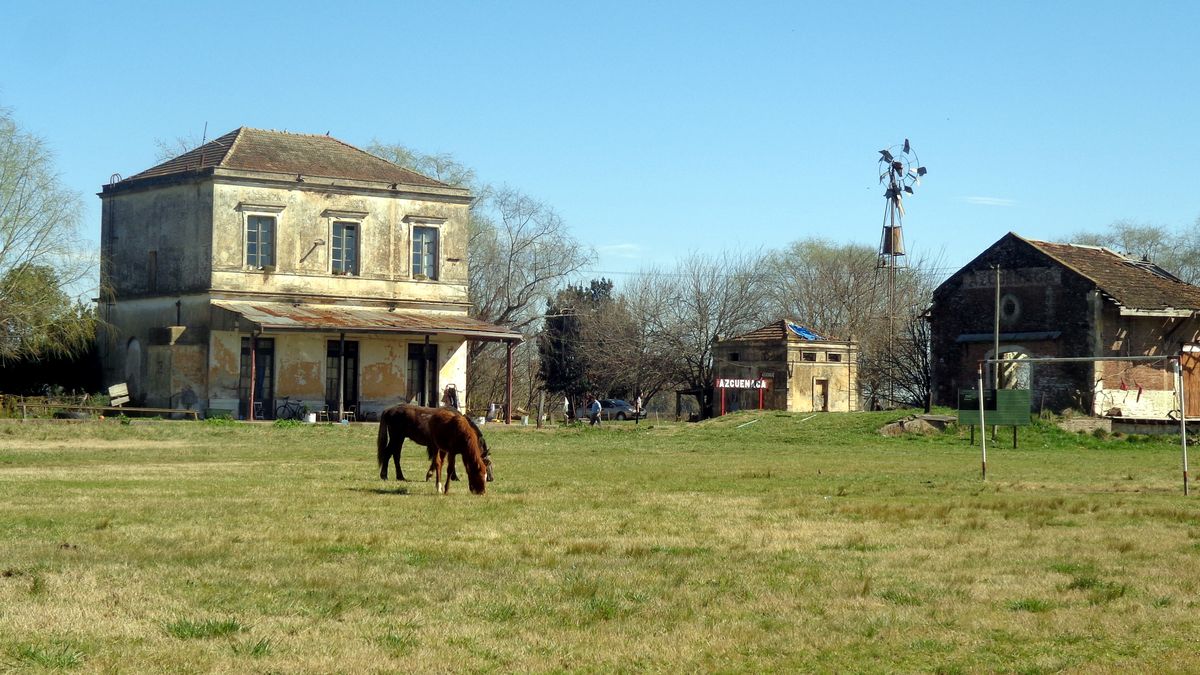 An hour and a half from the Autonomous City of Buenos Aires: the rural destination you have to visit