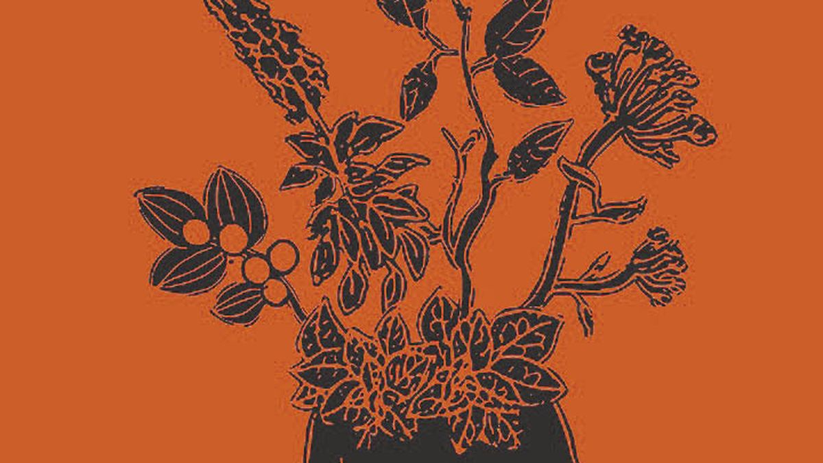 Just vindication of the carioca Flora Purim