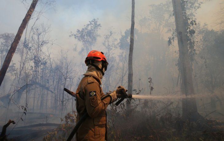 AMAZONIA. Los incendios en la selva de Brasil colocaron a las políticas ambientales en el centro de la discusión entre potencias.