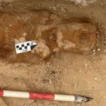 La momia fue hallada en la actual localidad egipcia de Al Bahnasa y tiene aproximadamente 1.600 años de antigüedad. La momia fue hallada en la actual localidad egipcia de Al Bahnasa y tiene aproximadamente 1.600 años de antigüedad.