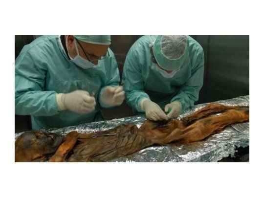 Investigadores. Según pudieron determinar, la momia tenía 45 años, medía 1,65, el promedio de la época, y pesaba 50 kilos.