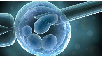 Los avances en medicina reproductiva de precisión permiten personalizar los tratamientos para mejorar las tasas de nacido vivo.