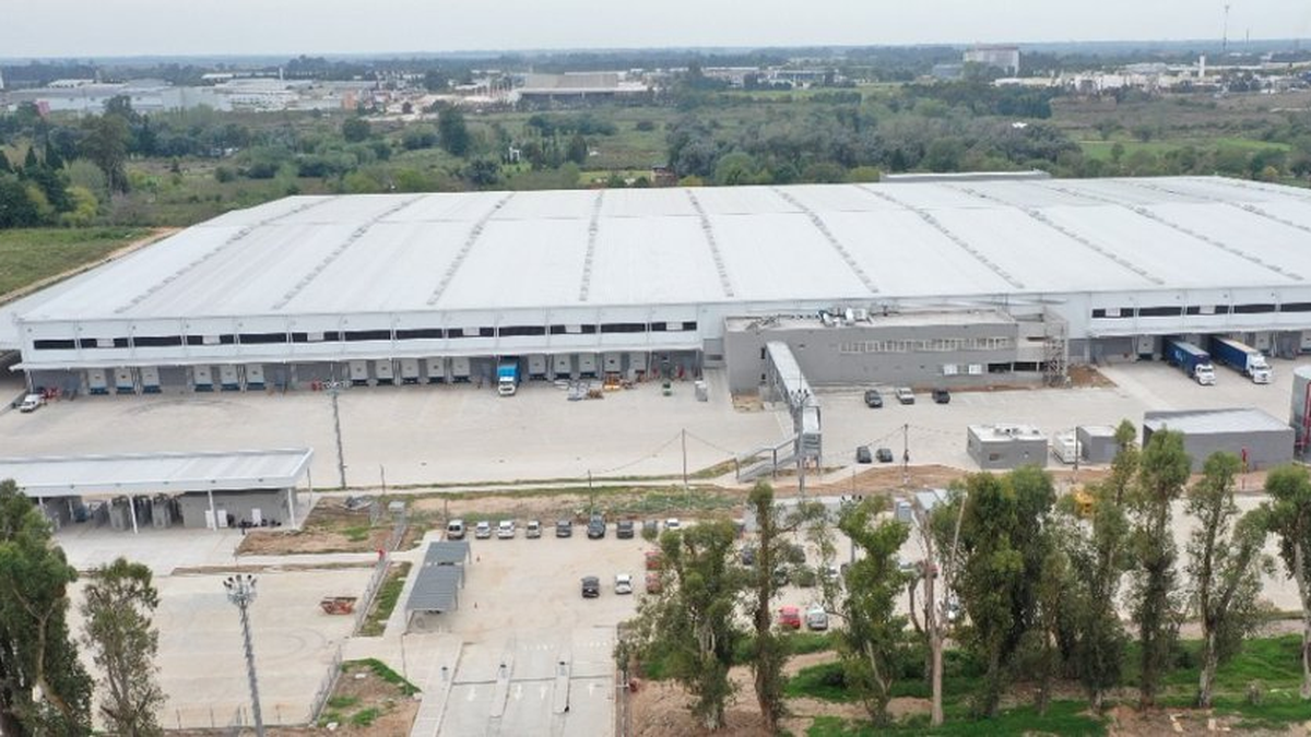 Logistic centers: the rented area in 2024 reached 114,500 m2