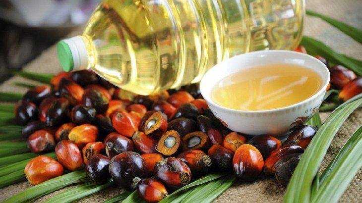 Palmöl, das neue Juwel der internationalen Agrarmärkte