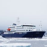 Investigan brote de hantavirus en un crucero que partió desde Ushuaia. Investigan brote de hantavirus en un crucero que partió desde Ushuaia.