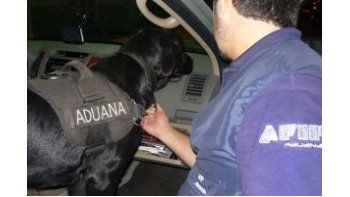 En uno de los casos el dinero se encontraba debajo de la alfombra del vehículo.