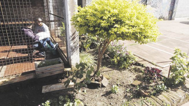 respaldo. El trabajo en los cultivos cuenta con el apoyo permanente de un equipo técnico del Instituto de Fomento Agro Industrial de Misiones que asiste a las internas.