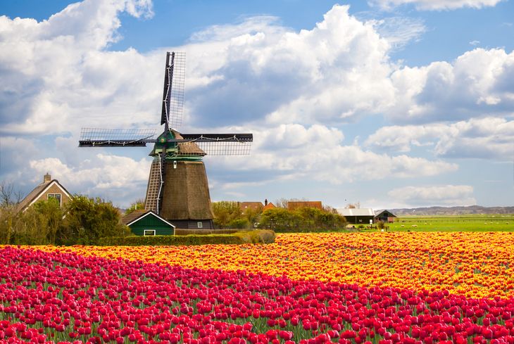 Holanda.jpg